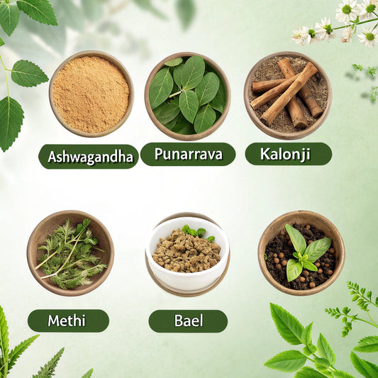 5 Ayurvedic Herbs for Natural Weight Loss & Gut Health