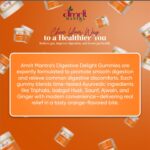 amrit mantra gut balance supplement